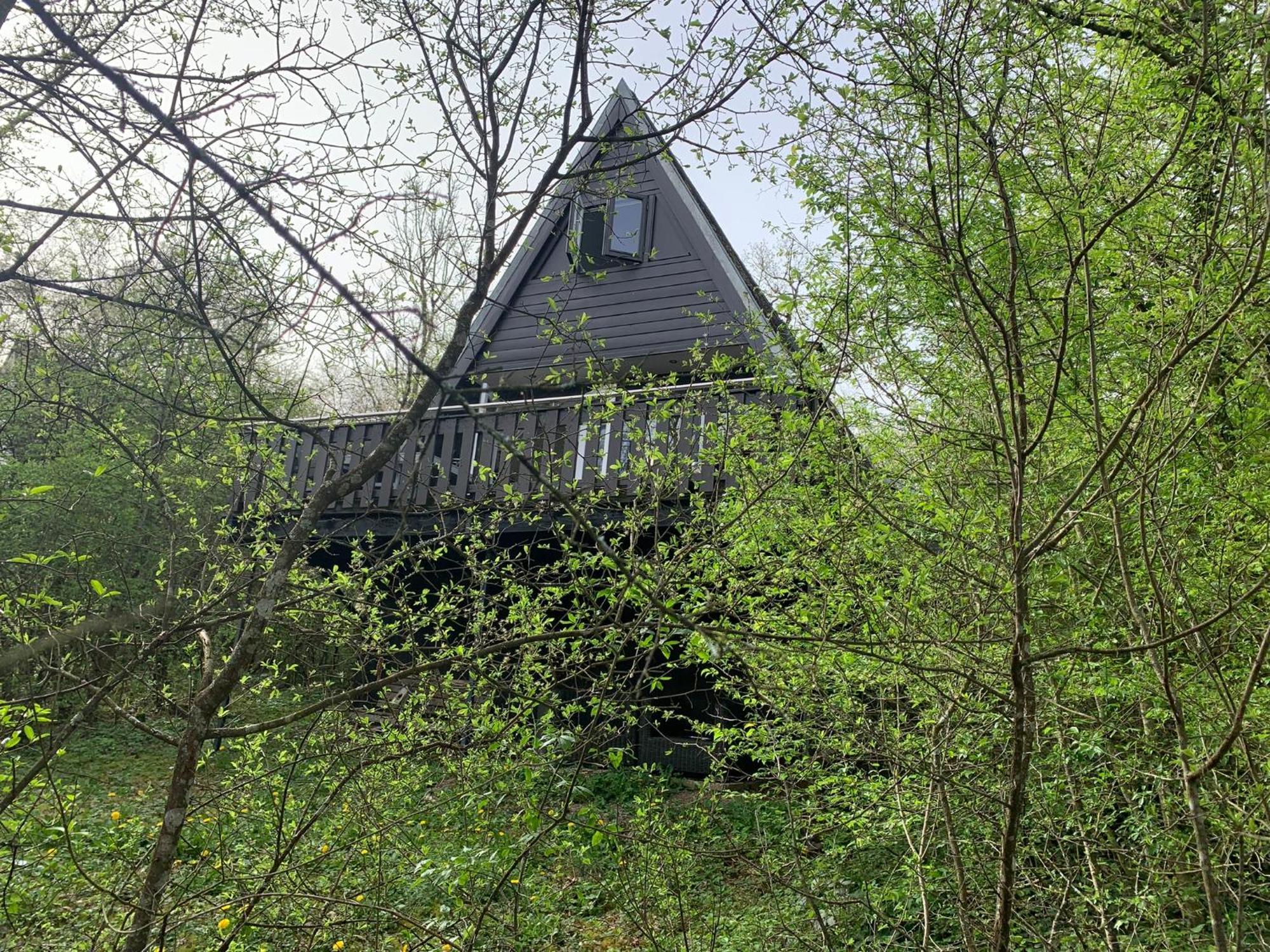 Heerlijk Vakantiehuis In Bos Bij Дюрбюї Екстер'єр фото